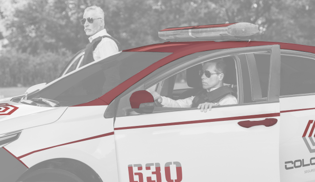 Protección vehicular